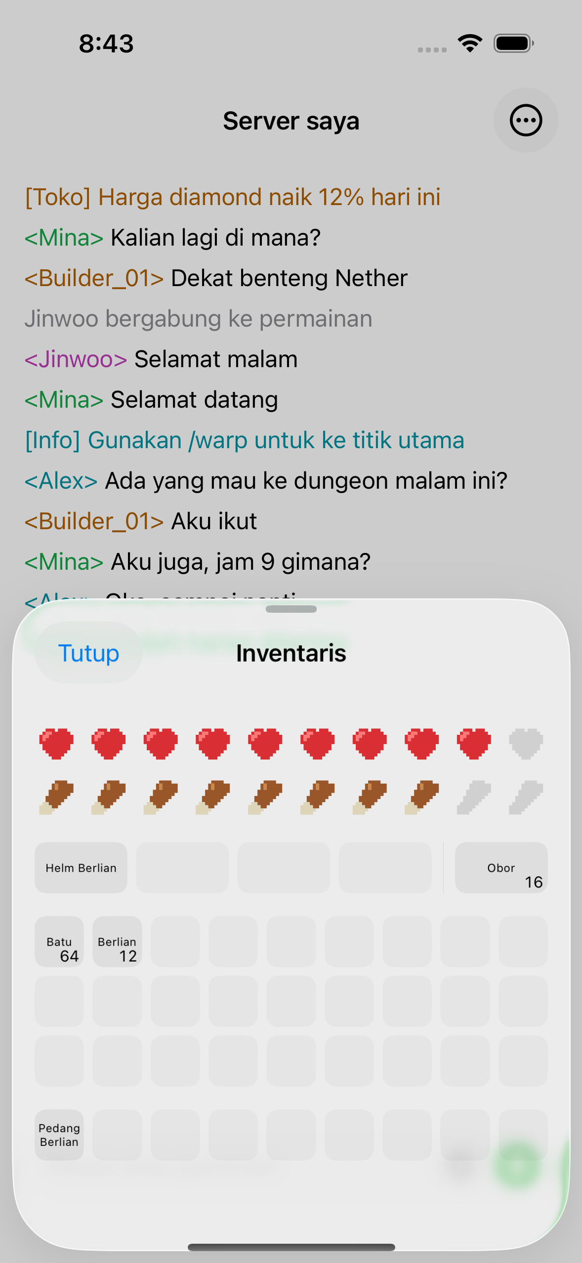 The ChatMC inventory view showing items, health and hunger.